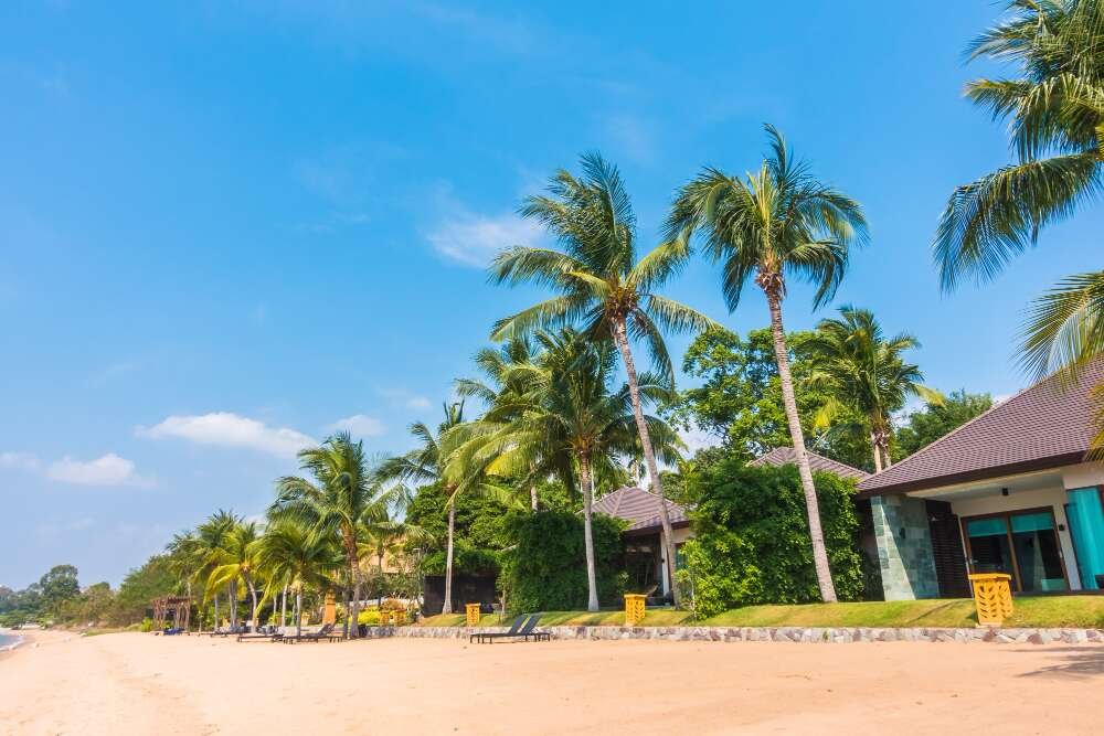 Eco-Friendly Bryan Cranston House: A Blend of Luxury and Sustainability for $4.995 Million - Celebrity Home - Homedecortoday the Three Palms home