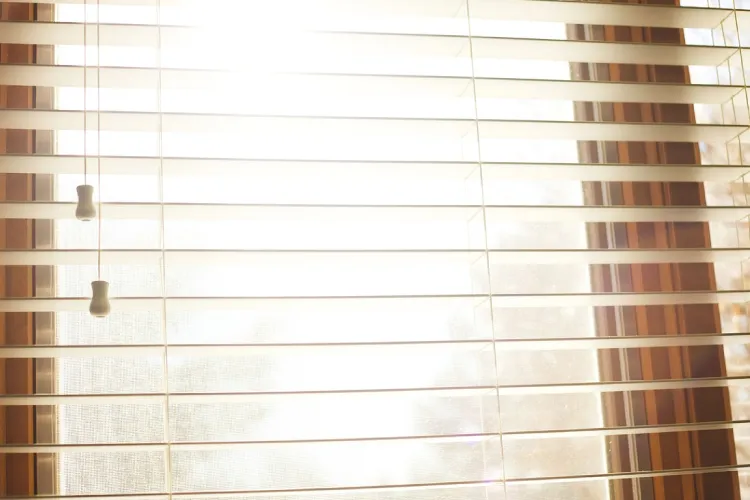 extending the life of your windows