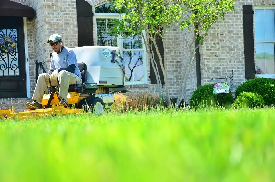 Professional lawn maintenance service using a mower to achieve a perfect lawn. 