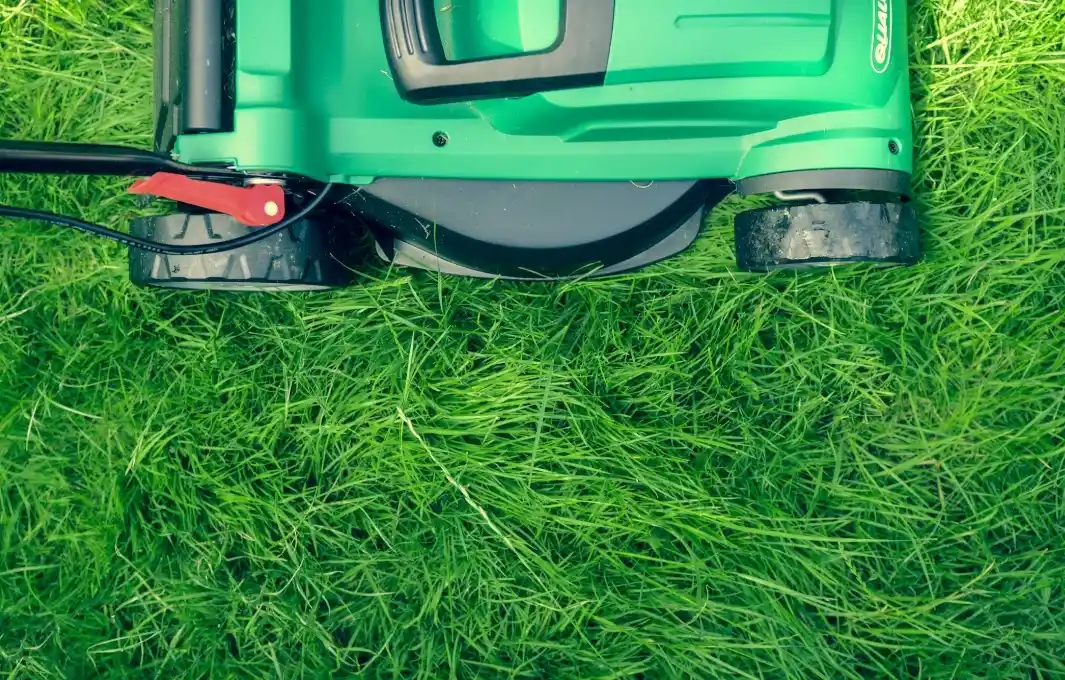 A green lawn being mowed for a healthy and well-maintained landscape.