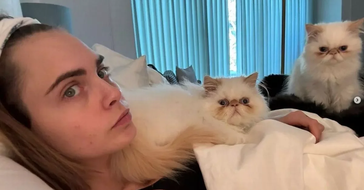 Cara Delevingne House: Inside Her $7M LA Properties, Fire Incident, and Style - Celebrity Home - Homedecortoday Image of , Celebrity Home, on Homedecortoday.