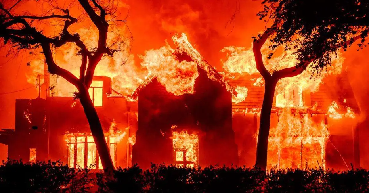 Neil Young House Tour: Inside the Legendary Broken Arrow Ranch - Celebrity Home - Homedecortoday Image of , Celebrity Home, on Homedecortoday.