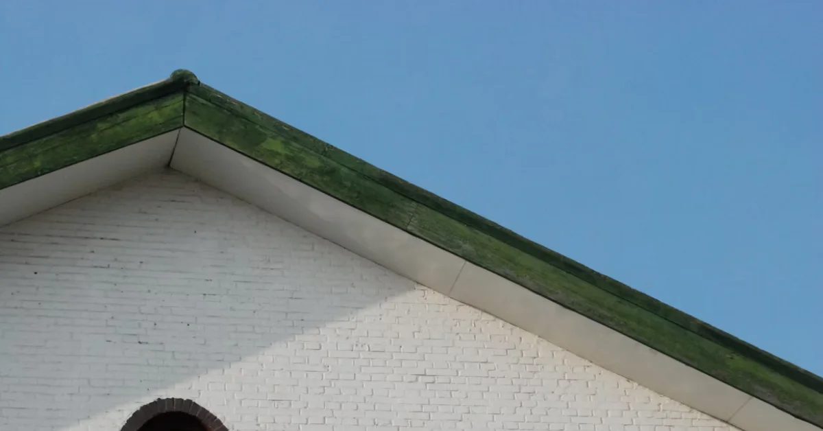 Roof Trouble Ahead? 4 Ways to Stop Leaks Before They Start - Roofing - Homedecortoday Image of , Roofing, on Homedecortoday.